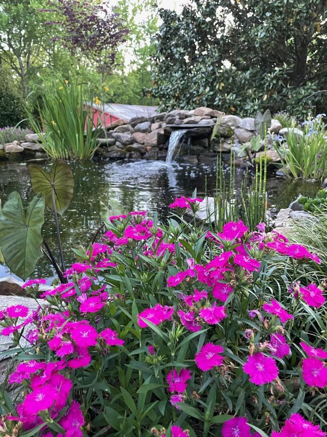 Maxeys Gillen House Bed And Breakfast מראה חיצוני תמונה